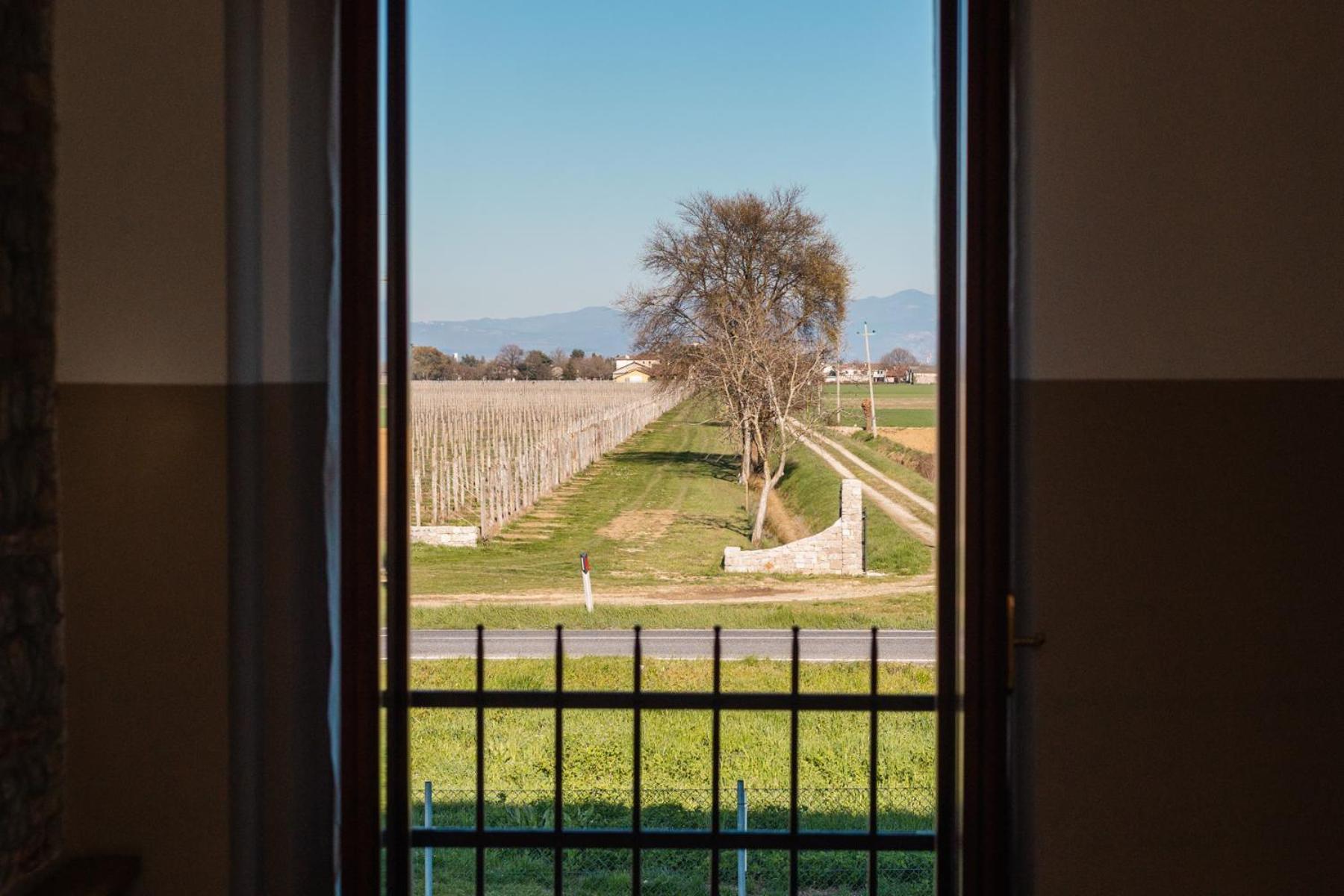 Agriturismo Mulino Delle Tolle Bagnario Arsa エクステリア 写真